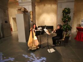 Classic String Trio + 3 Duos - Classical Trio - Worcester, MA - Hero Gallery 4