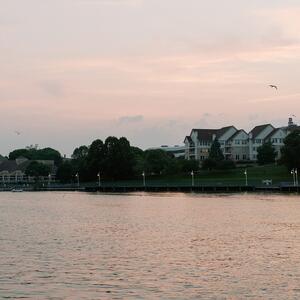 Gallery Photo 63