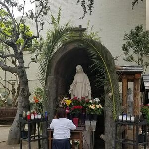 Gallery Photo 8