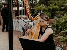 Jenna Hunt Music - Harpist - Colorado Springs, CO - Hero Gallery 1