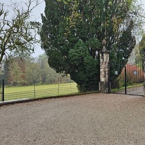 Gallery Photo 227