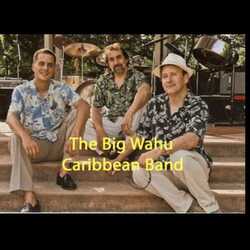 Big Wahu Caribbean Band, profile image