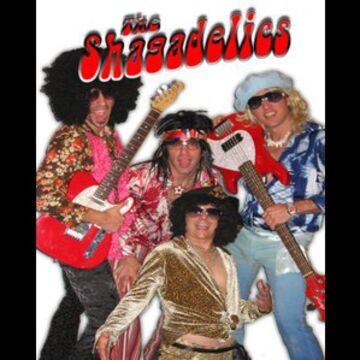 The Shagadelics - Disco Band - Chicago, IL - Hero Main