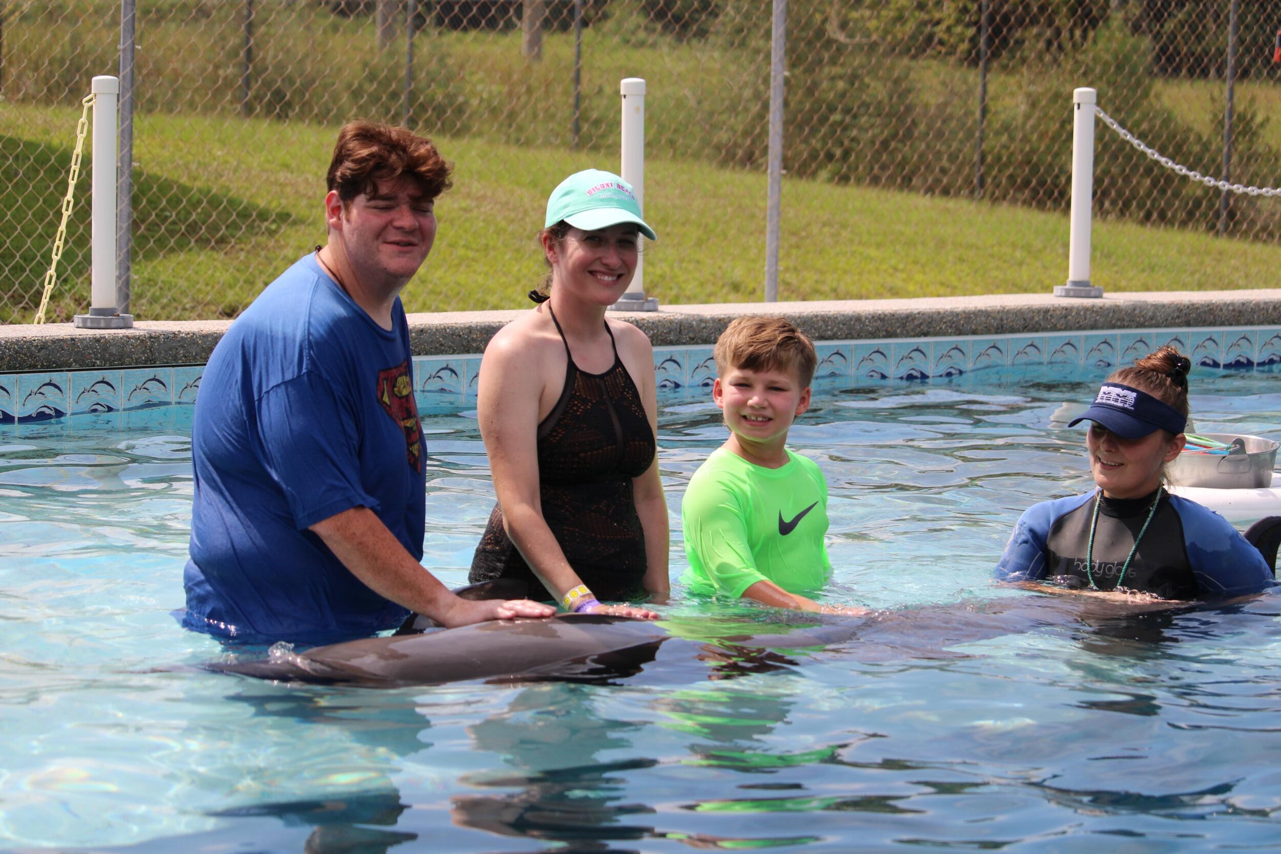 Dolphin Swim