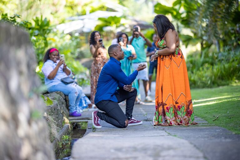 The Proposal