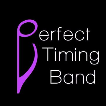 Perfect Timing Band - Cover Band - Columbus, OH - Hero Main