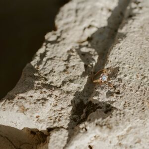 Gallery Photo 157