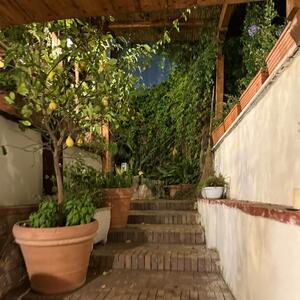 Gallery Photo 2