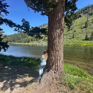 Gallery Photo 224