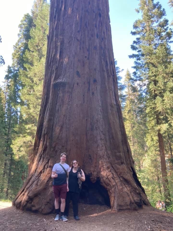 Visiting Sequoia