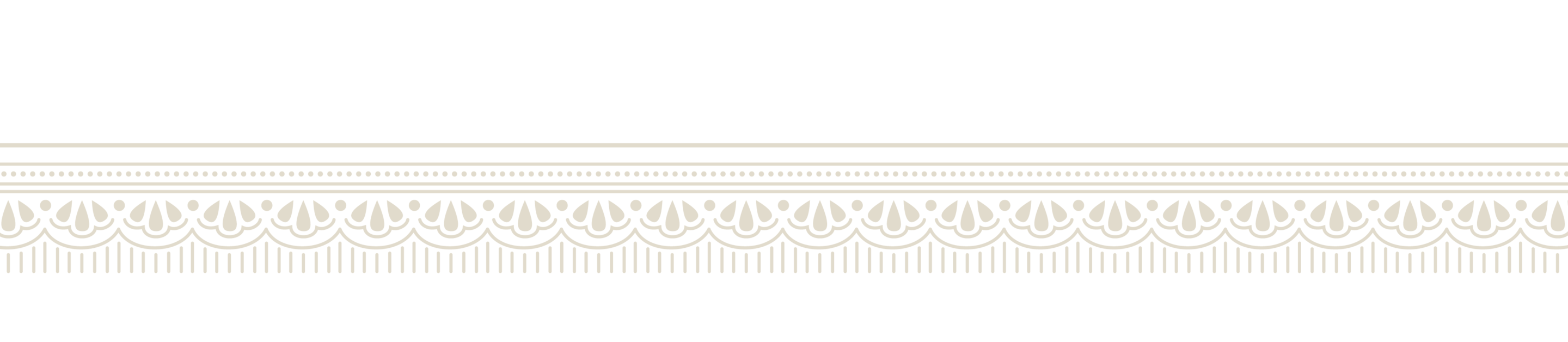 Bottom Theme Image