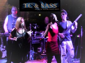 TC and Sass - Dance Band - Orlando, FL - Hero Gallery 3