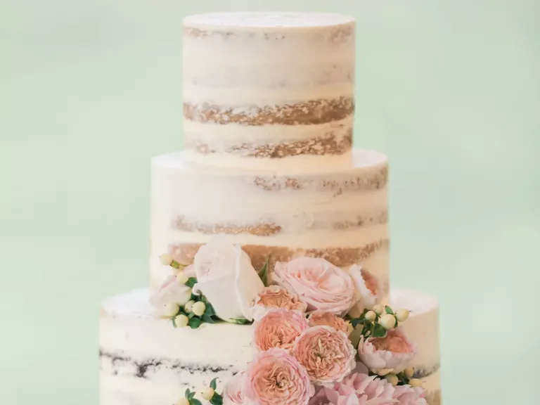Barely Frosted Semi-Naked Cake