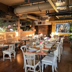 Gallery Photo 14