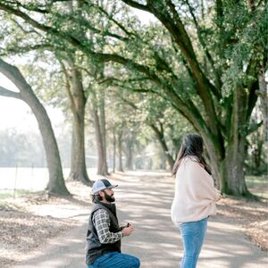 Gallery Photo 48