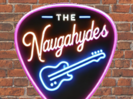 Naugahydes - Cover Band - Fort Myers, FL - Hero Gallery 1