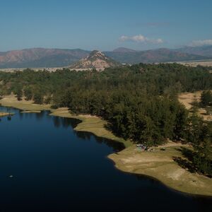 Gallery Photo 39