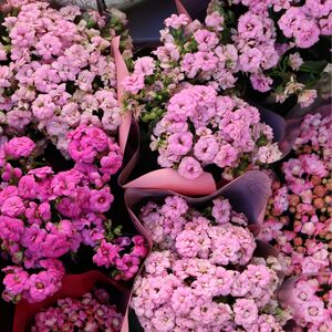 Gallery Photo 35