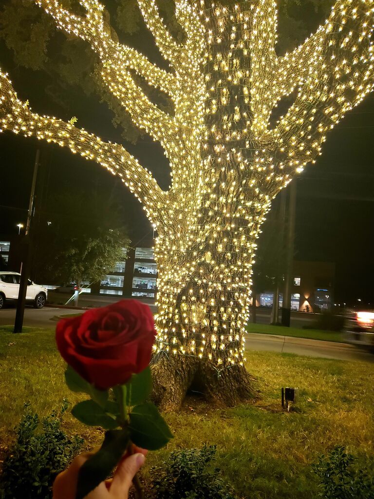Our one-year anniversary! We made it through a very intricate corn maze and of course ended with boba tea! Ben gave Stacey a red rose to carry through the night!