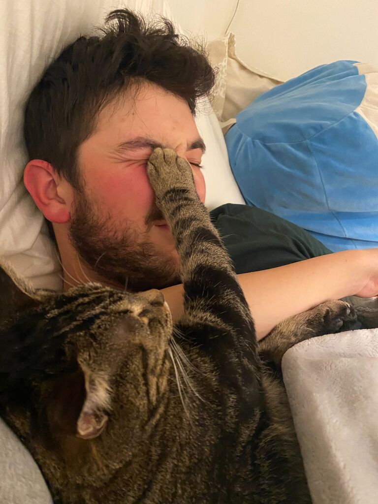 Buddy slowly accepting Jacob