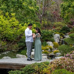 Gallery Photo 4
