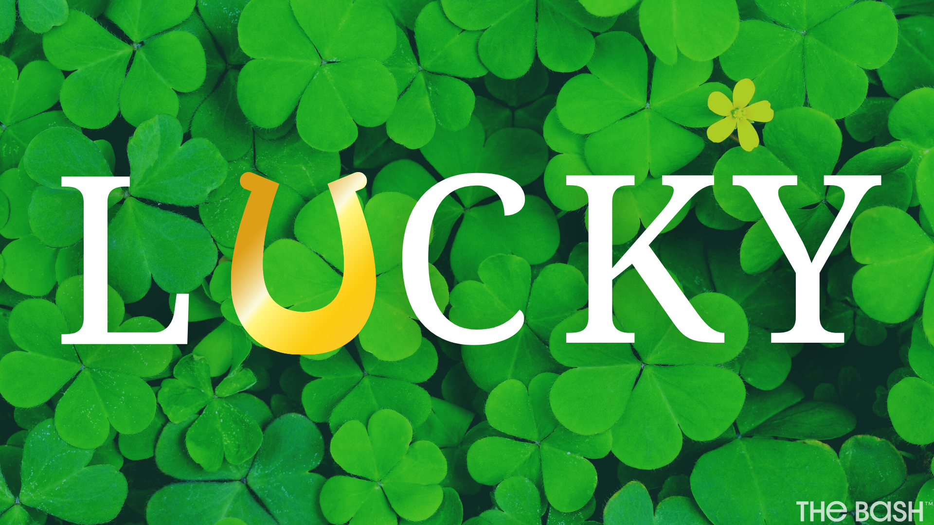 27 St. Patrick's Day Zoom Backgrounds - Free Download - The Bash