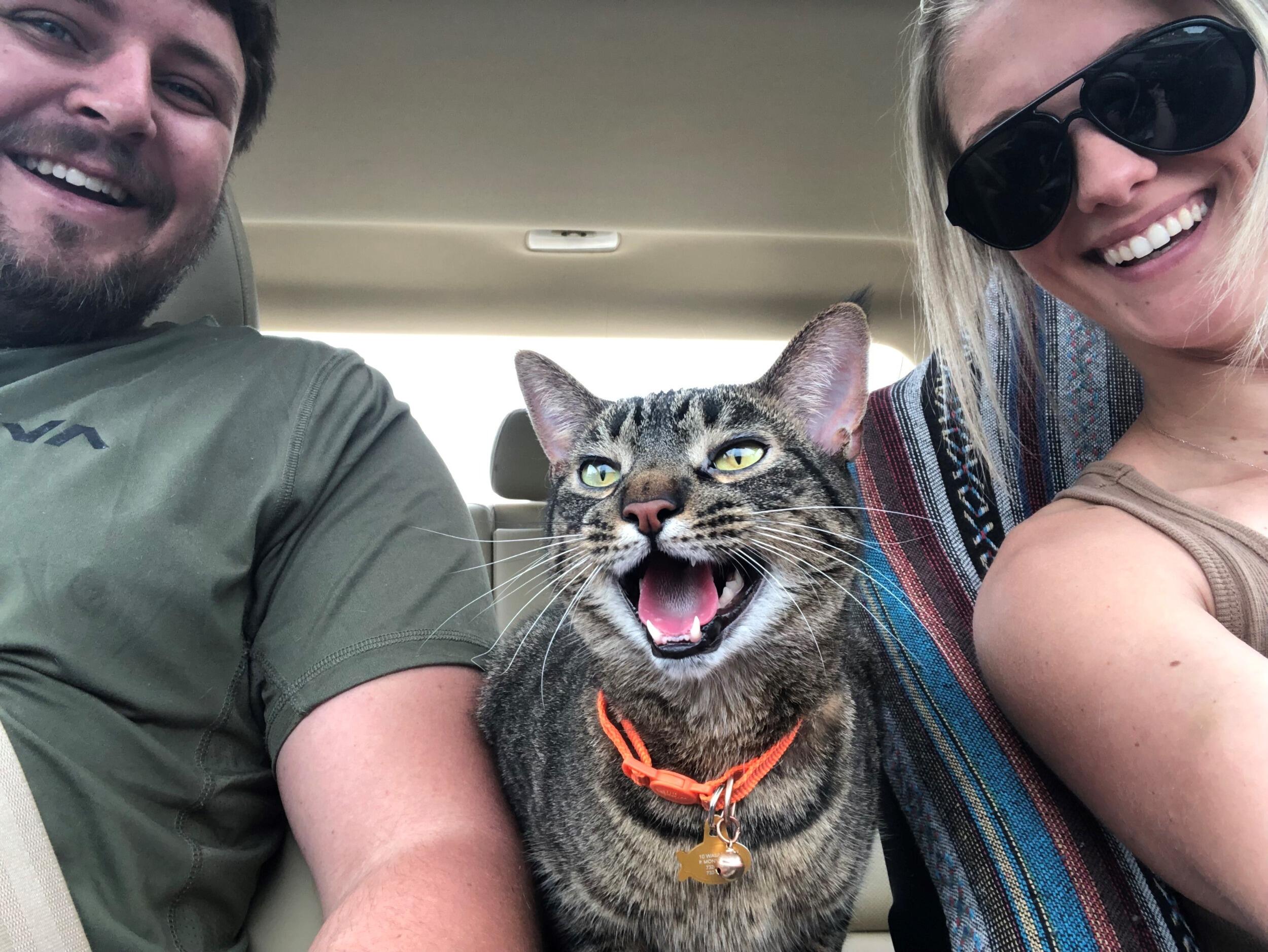 Adopted our little Georgie Girl.