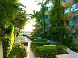 Sagamore Hotel - Video Garden - Hotel - Miami, FL - Hero Gallery 2