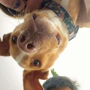 Gallery Photo 31