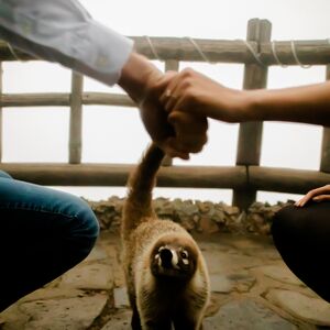 Gallery Photo 20