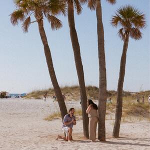 Gallery Photo 7