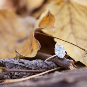 Gallery Photo 34