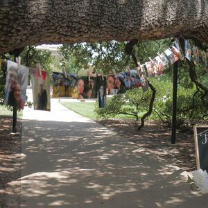 Gallery Photo 4