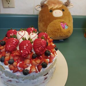 Gallery Photo 27