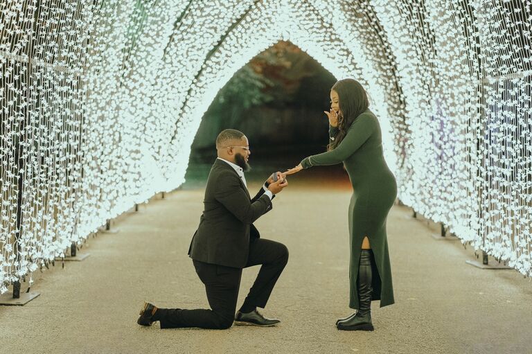 The proposal