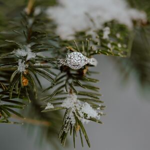 Gallery Photo 6