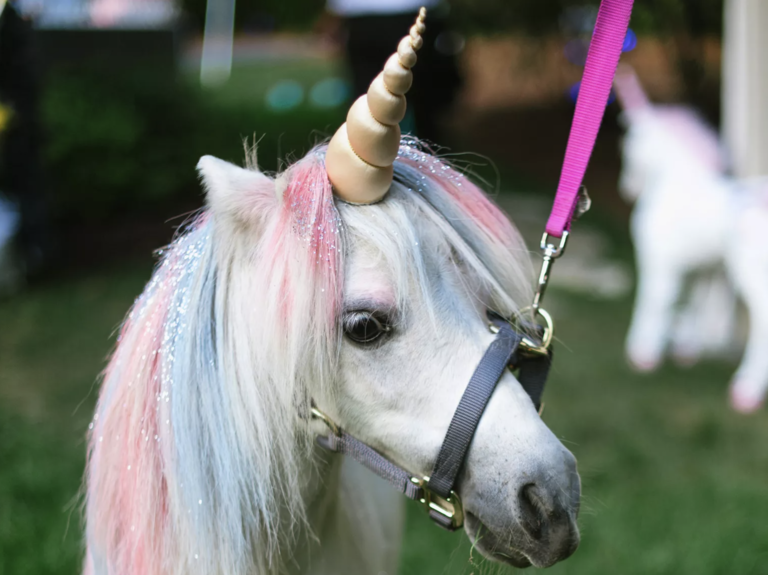 A Unicorn Petting Station for kids wedding activities