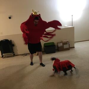 Gallery Photo 42