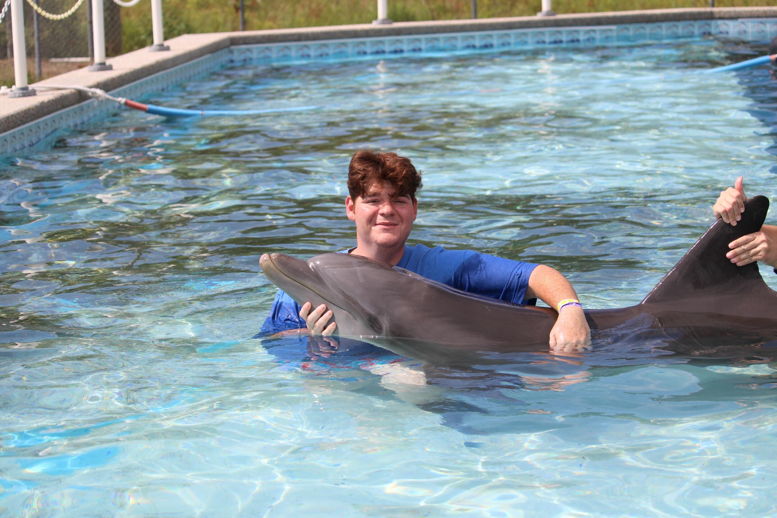 Dolphin Swim