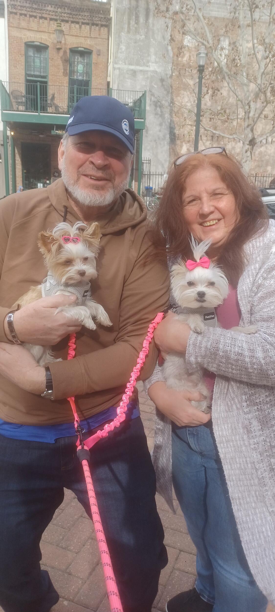 Scavenger Hunt - Meet a dog