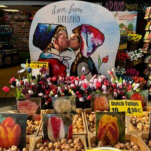 Gallery Photo 14
