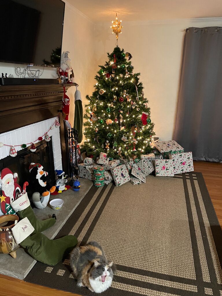 Our first family Christmas in the first house we lived in together :) 

Beware of the Lion... 