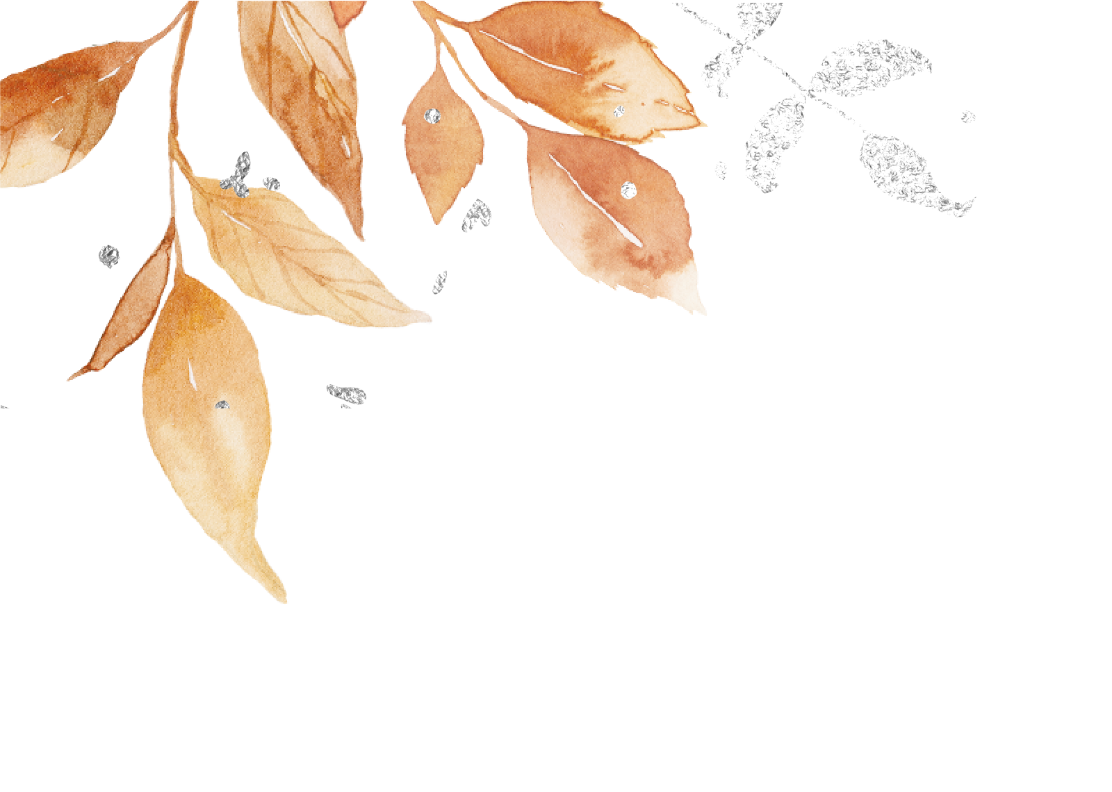 Top Theme Image