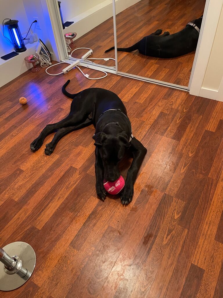 An entire bedroom just for play time