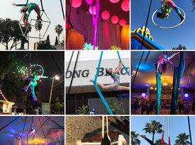 Aerial Butterflies, LLC. - Circus Performer - Long Beach, CA - Hero Gallery 3