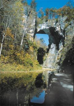 bridge natural