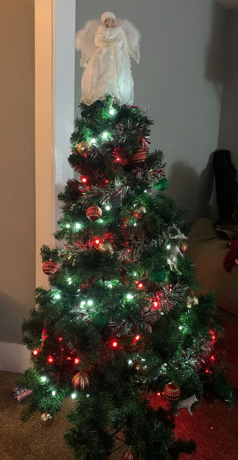 Their first Christmas tree!