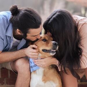 Gallery Photo 42