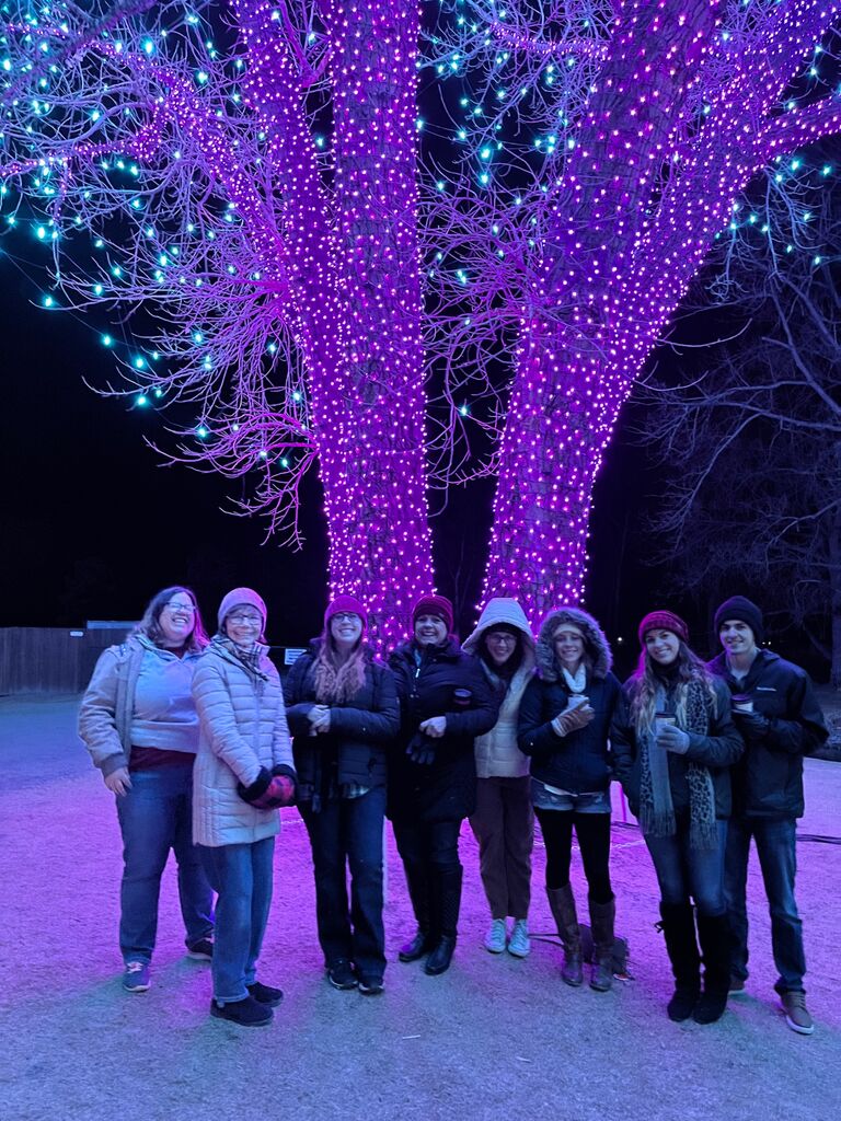 Colorado Christmas Lights