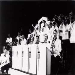 Rhythm Society Orchestra, profile image